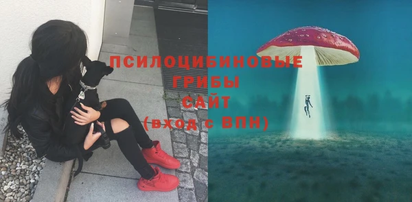 ГАЛЛЮЦИНОГЕННЫЕ ГРИБЫ Магас