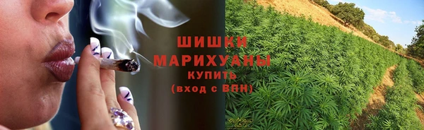 2c-b Алзамай