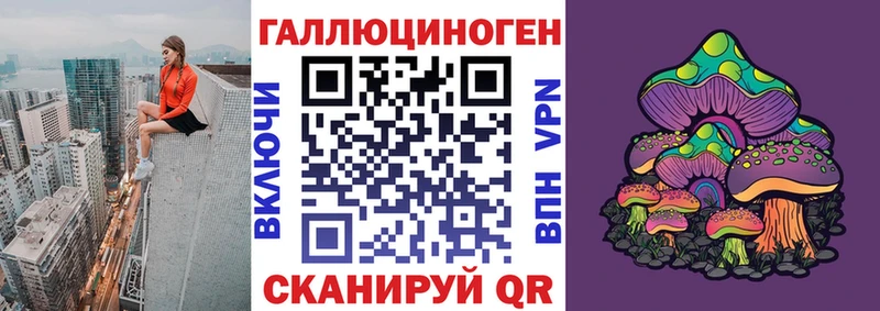 что такое   Новотитаровская  Псилоцибиновые грибы прущие грибы 