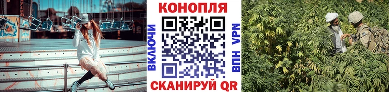 Бошки Шишки Amnesia  наркота  Новотитаровская 
